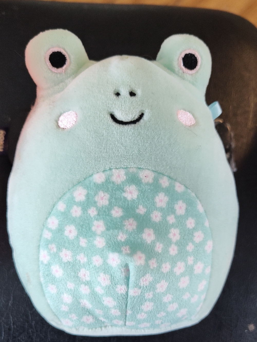 Squishmallow Fritz 2023 Frog Easter Kelly Toy Tags GUC Mint Green Floral Tummy